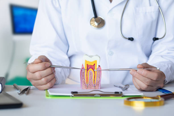 Emergency Dentist for Kids in OH